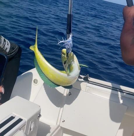 Charter Image