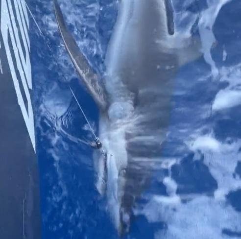 What kind of fishing!