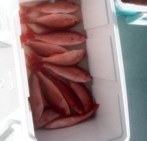 Another AMAZING day on the water with Pelican Adventures!!!!