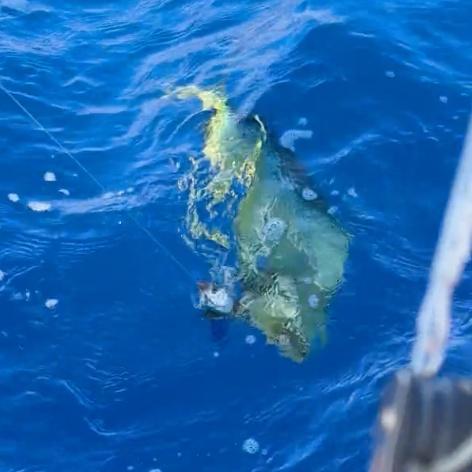 Experiencia brutal!! 10/10!! Highly recommend! 