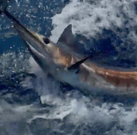 Fishing with Charlie