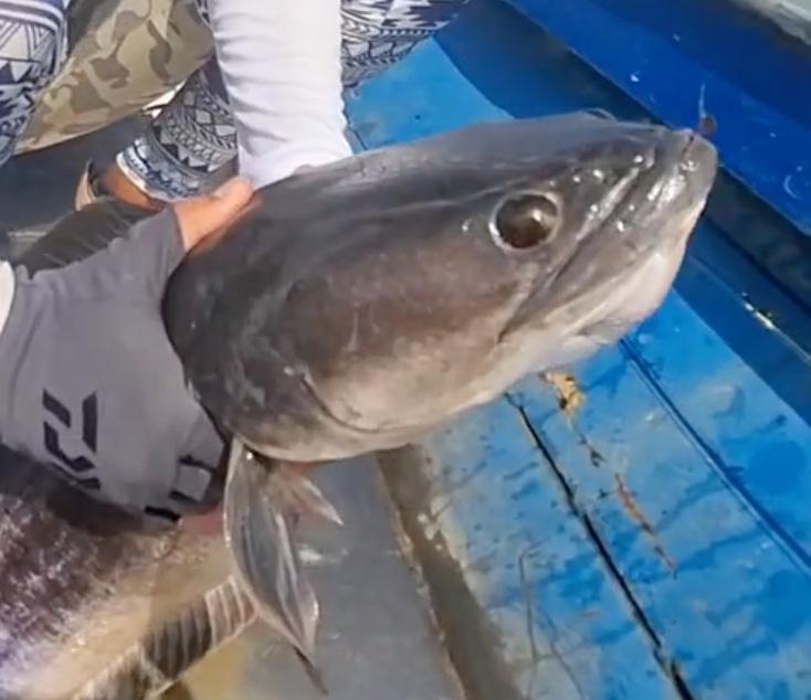 Long but memorable one day trip