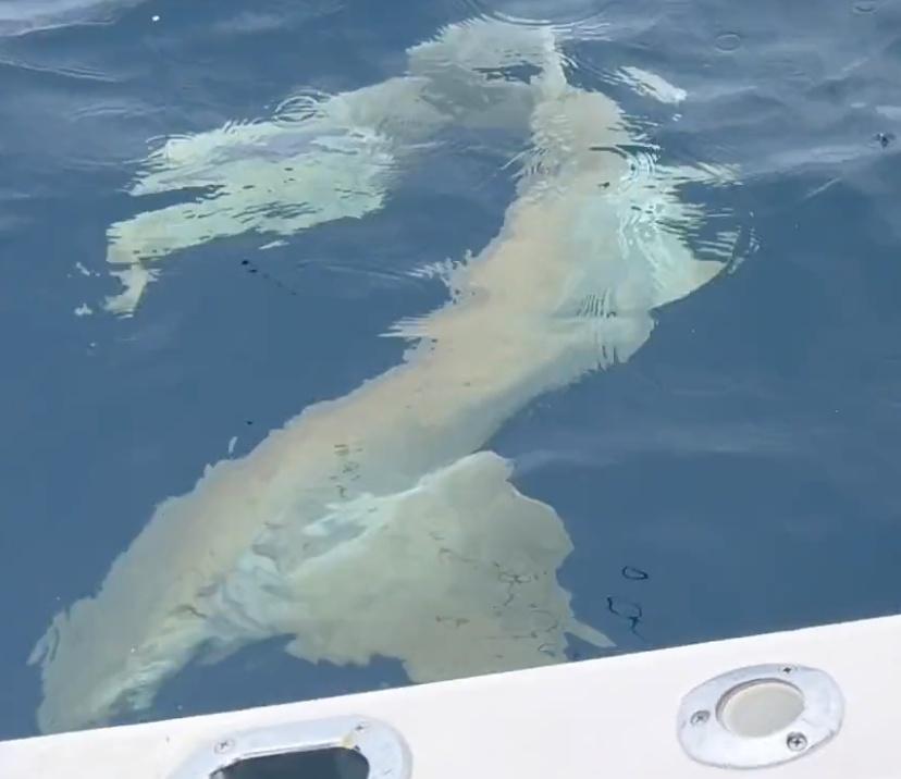 Best fishing trip ever