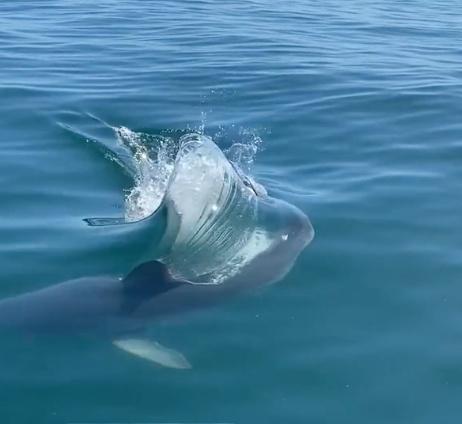 Capt Jim had us hooked! 