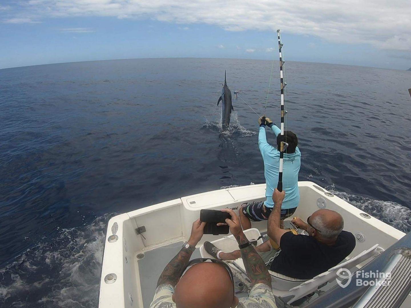 Charter Image