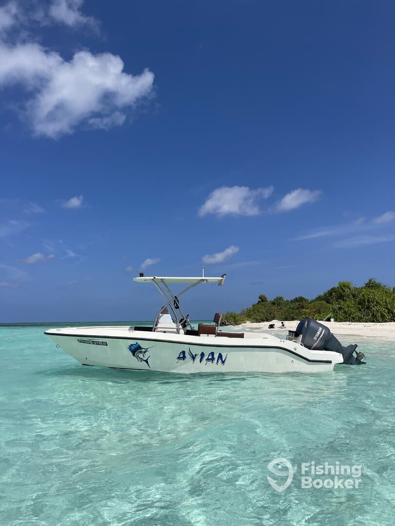 Charter Image