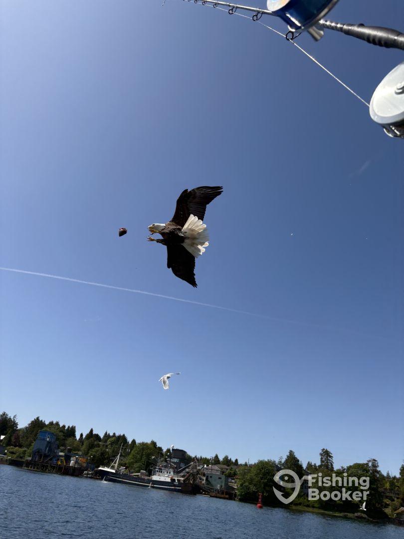 Half Day Morning Fishing Charter