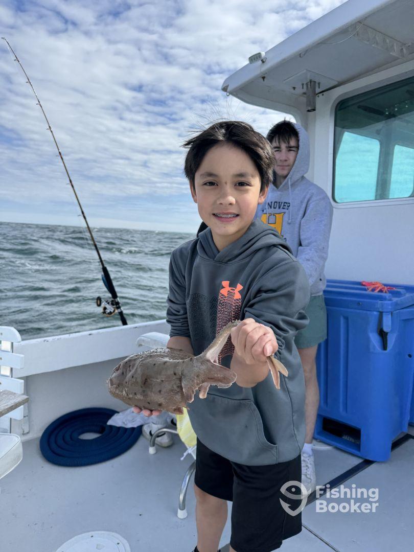 Amazing Trip on a Windy Day