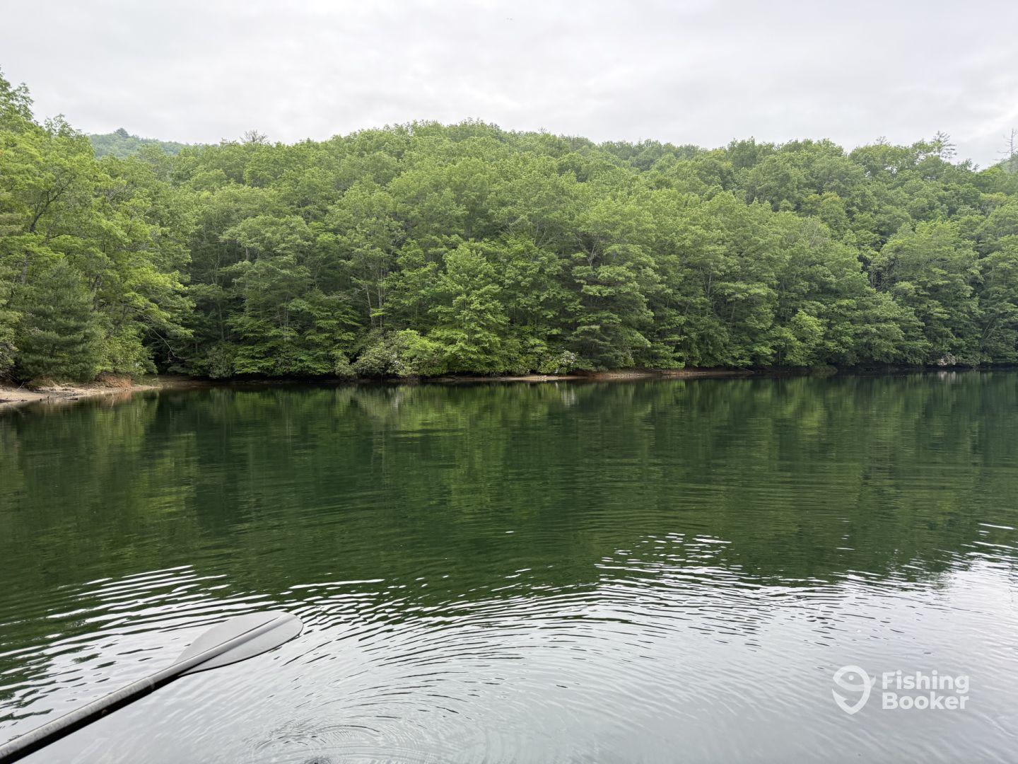 A serene view of a calm lake surrounded by lush greenery, ideal for fishing but no visible activity or subjects.