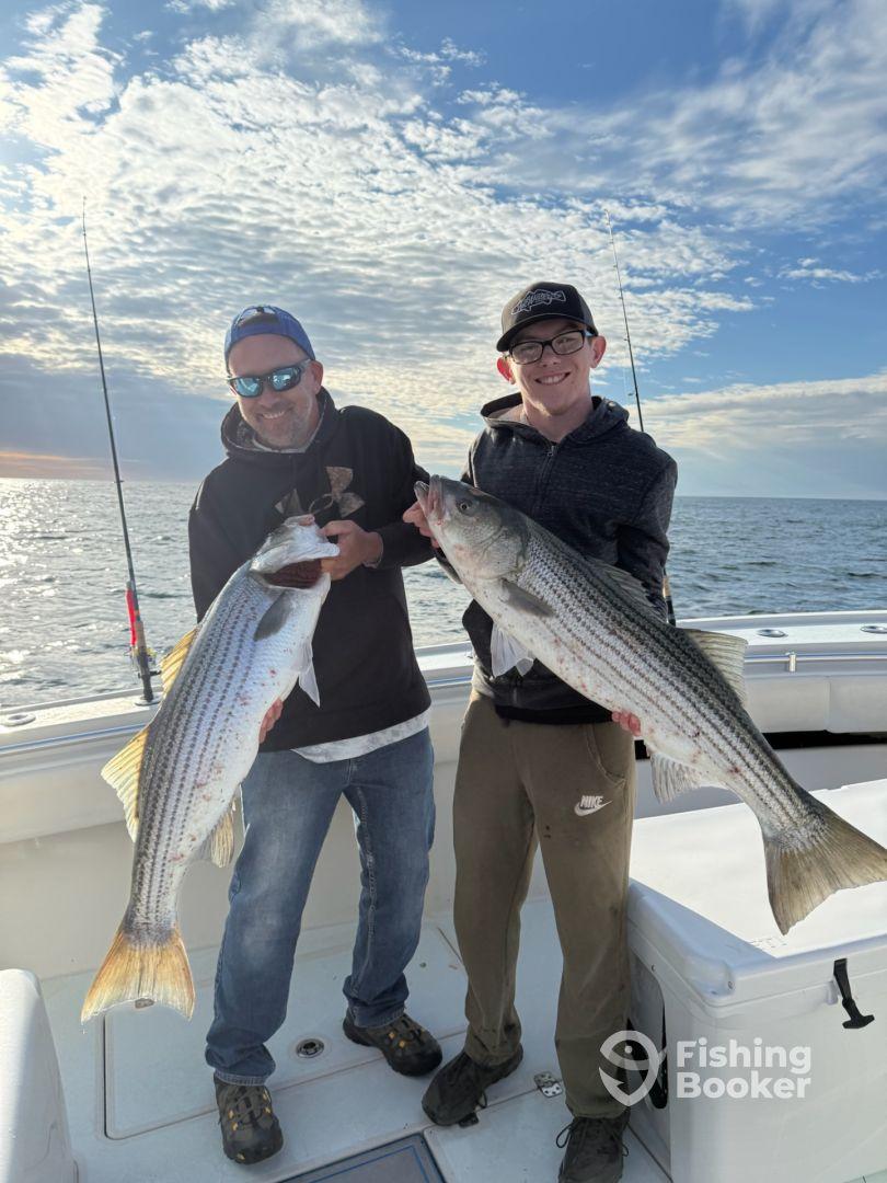 Nonstop action with high satisfaction 