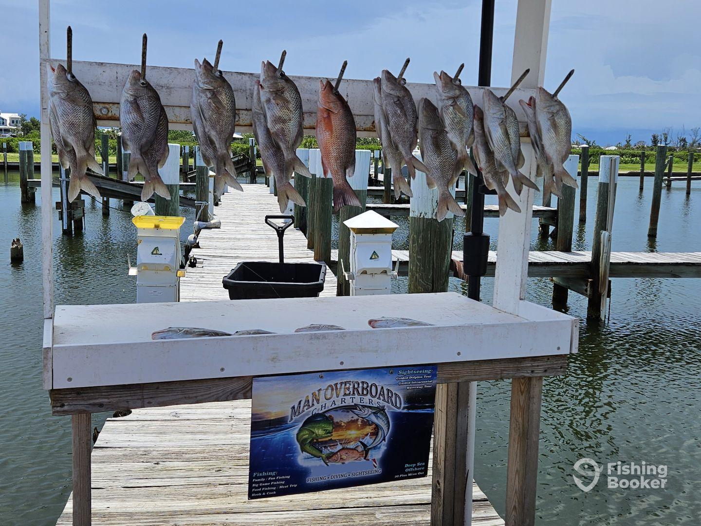 Good time on a family trip