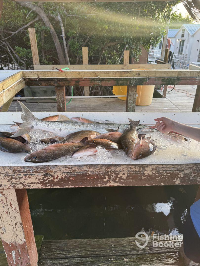A variety of fish, including Snapper and Grouper, displayed on a cleaning table at a dock, showcasing a successful fishing trip.