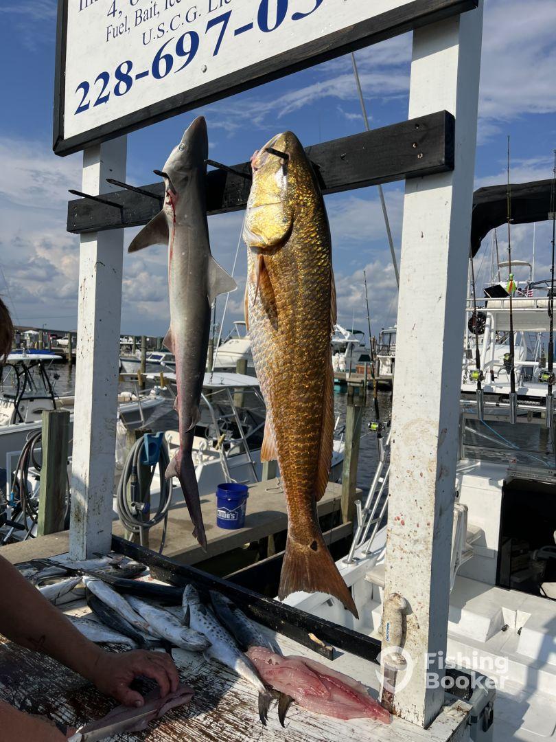 What a Trip 🎣🎣🎣🎣🎣