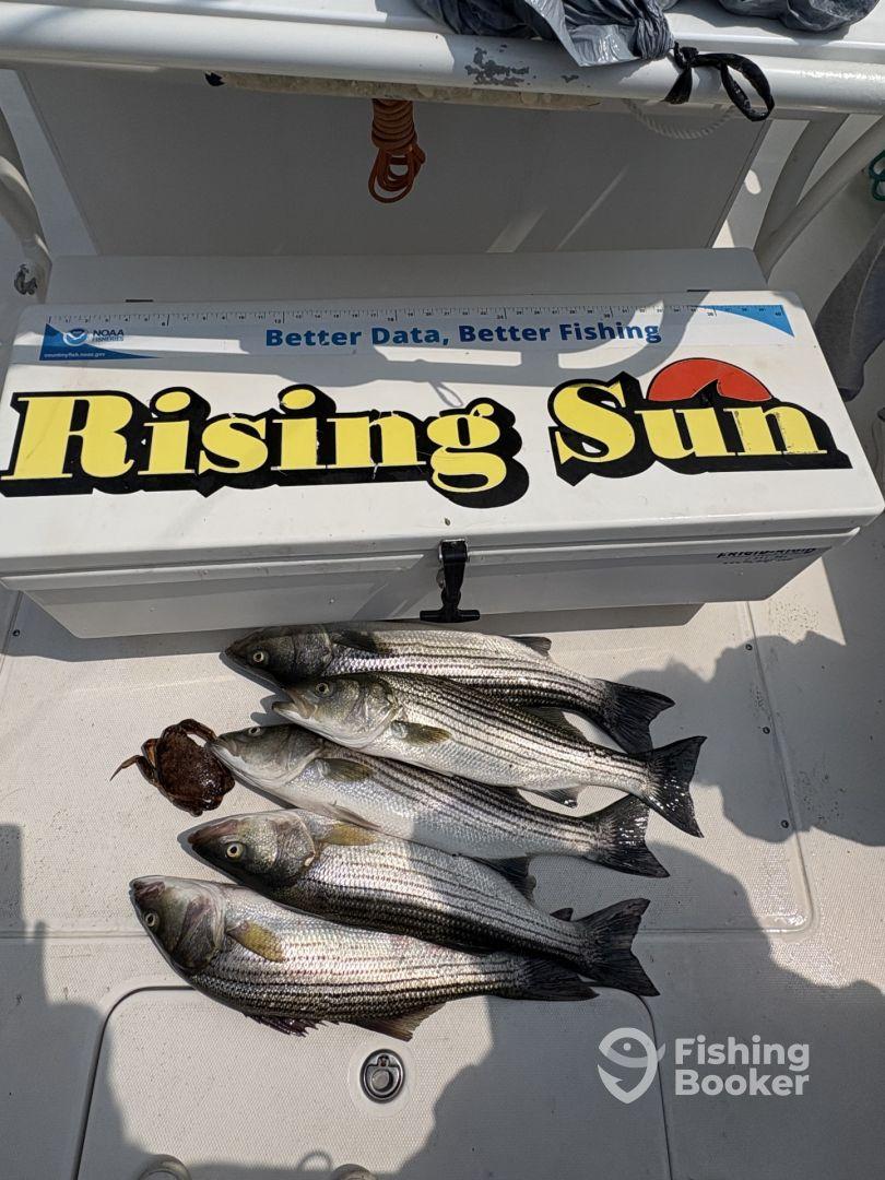 Private boat Fishing trip 