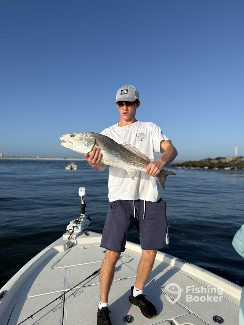 Awesome and Experienced Charter