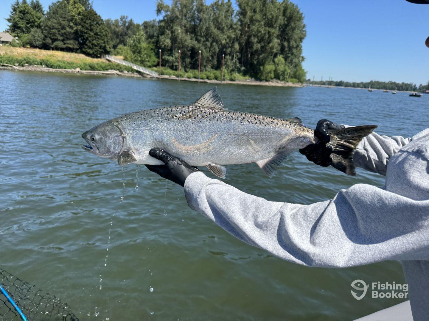 Best fishing charter ever!