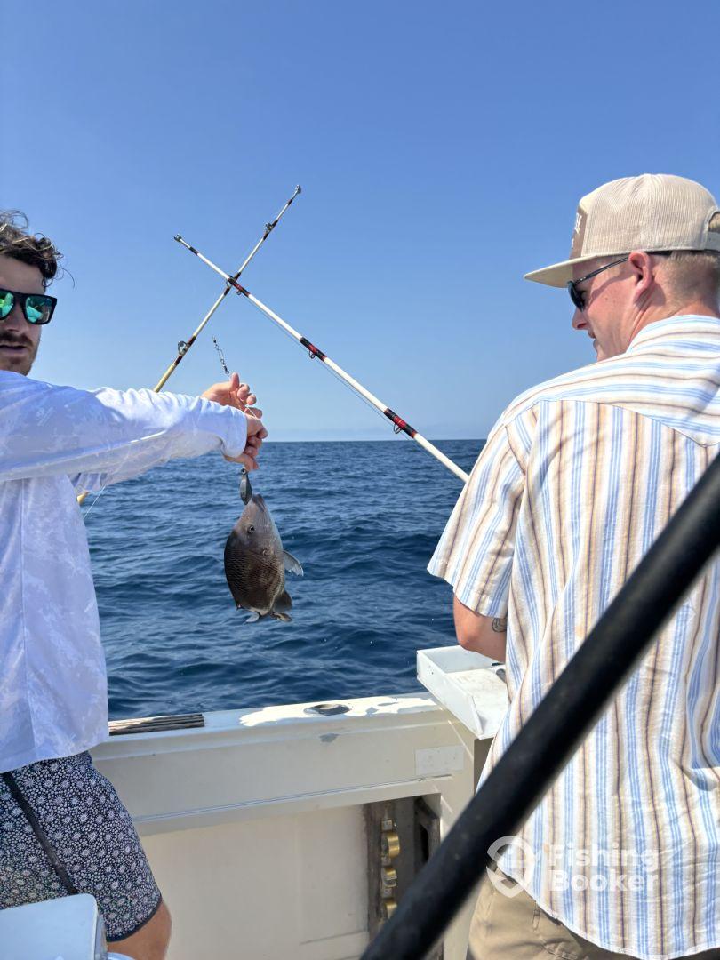 Offshore adventure!! 