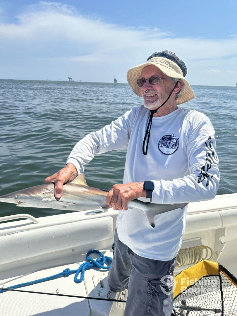 I would give them 6 stars if I could!