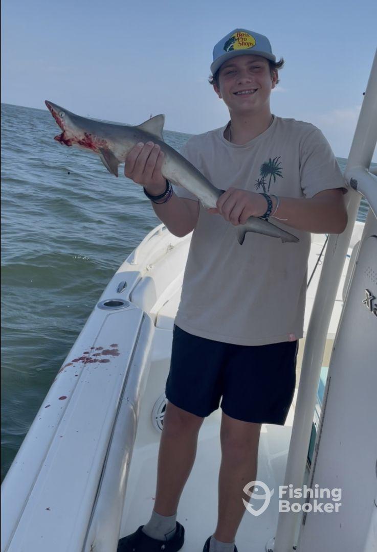 I would give them 6 stars if I could!