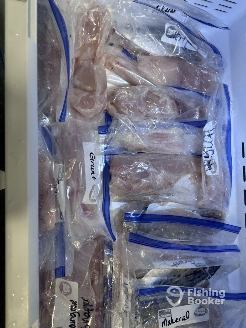 Book the trip, you won't regret it! Female Friendly!