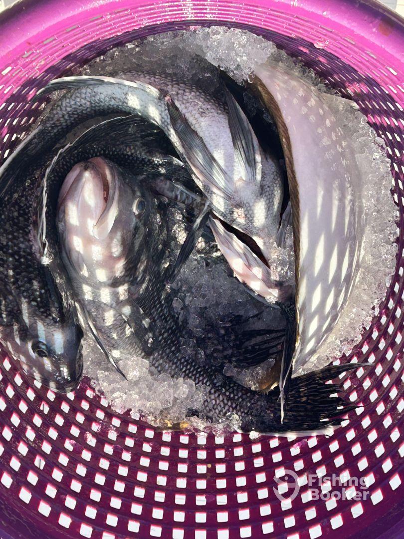 First time Private Charter