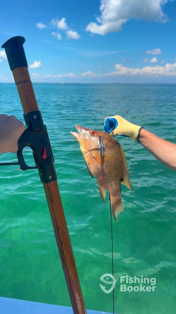 Lobster/spearfishing combo trip