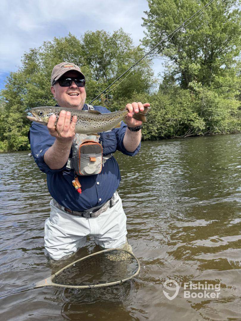 An angler proudly displaying a Brown Trout while wading in a river, showcasing a successful fly fishing experience.