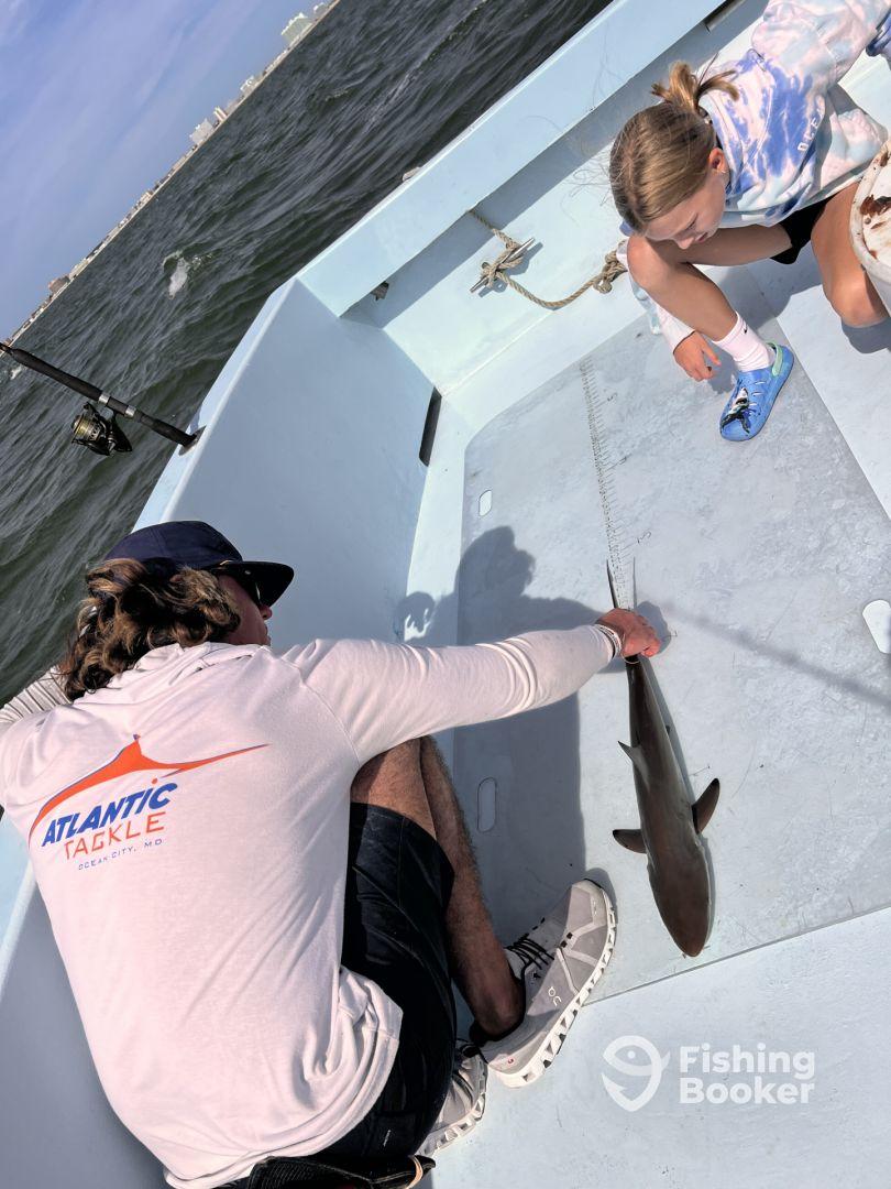 Mark and Jake were excellent!