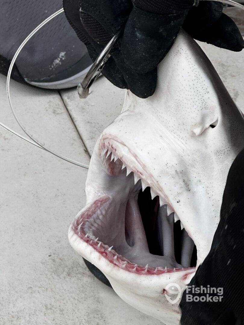 Awesome Fishing Trip!!