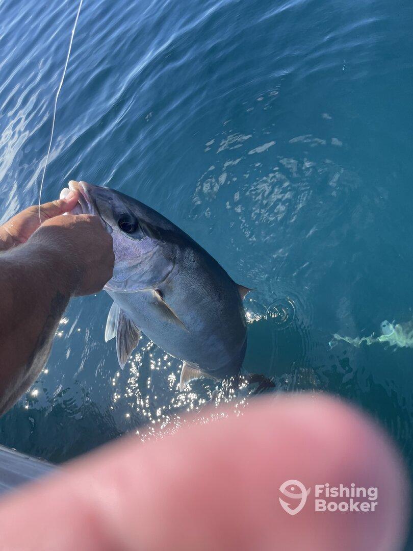 Awesome trip with Buck Nasty and Captain Tommy Grady!