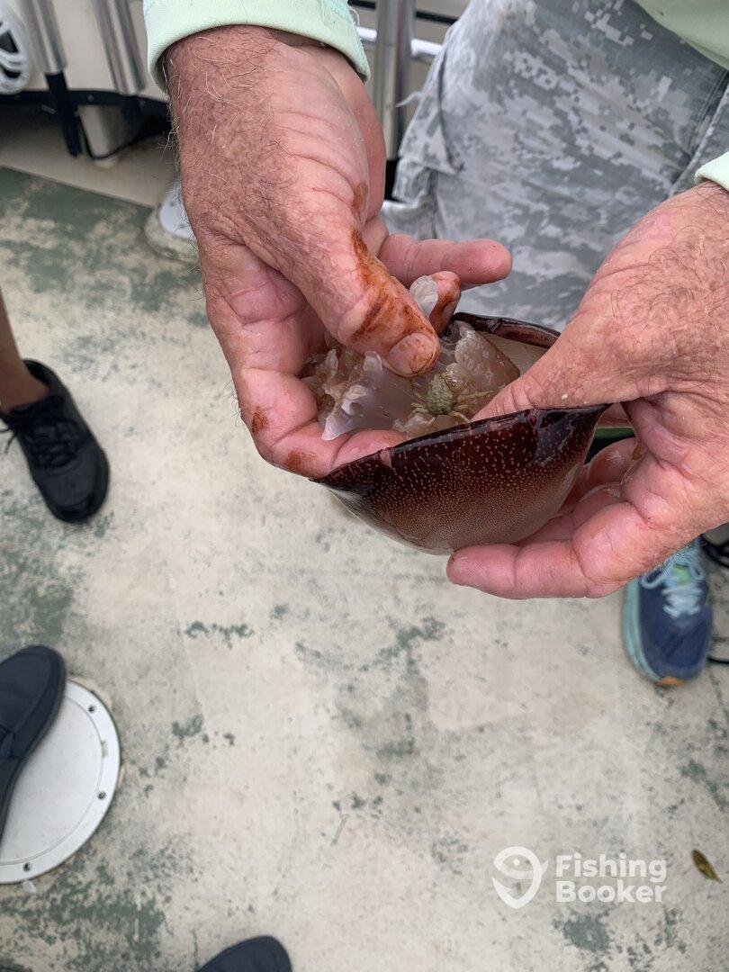 Captain Billy Baxley 