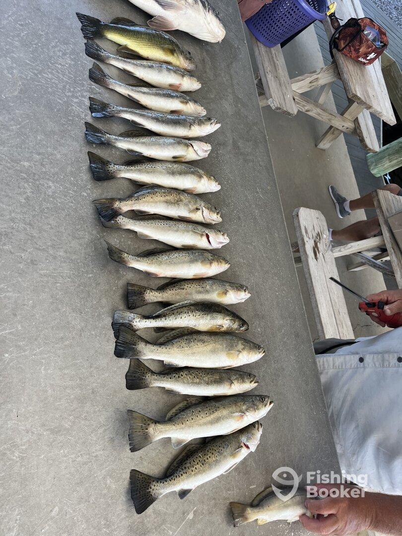 Outstanding trip from start to finish 