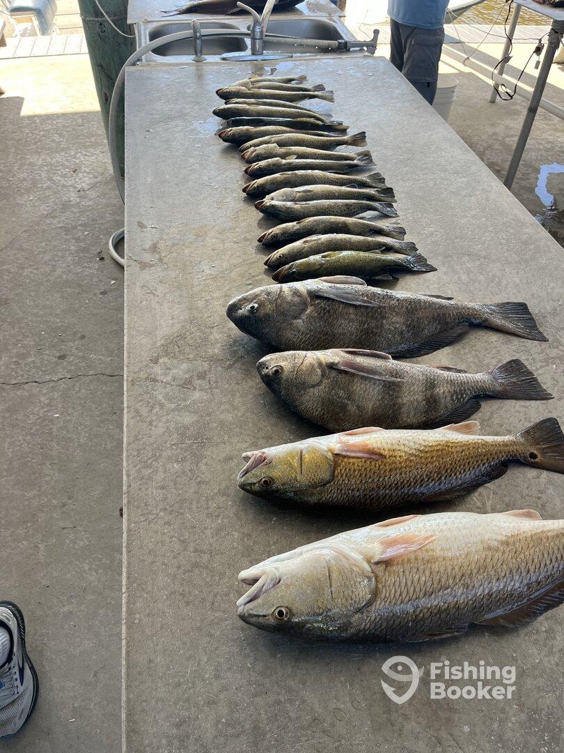 Outstanding trip from start to finish 