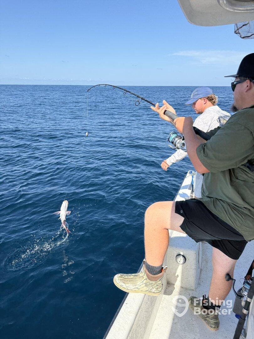 Half day trip with Captain T