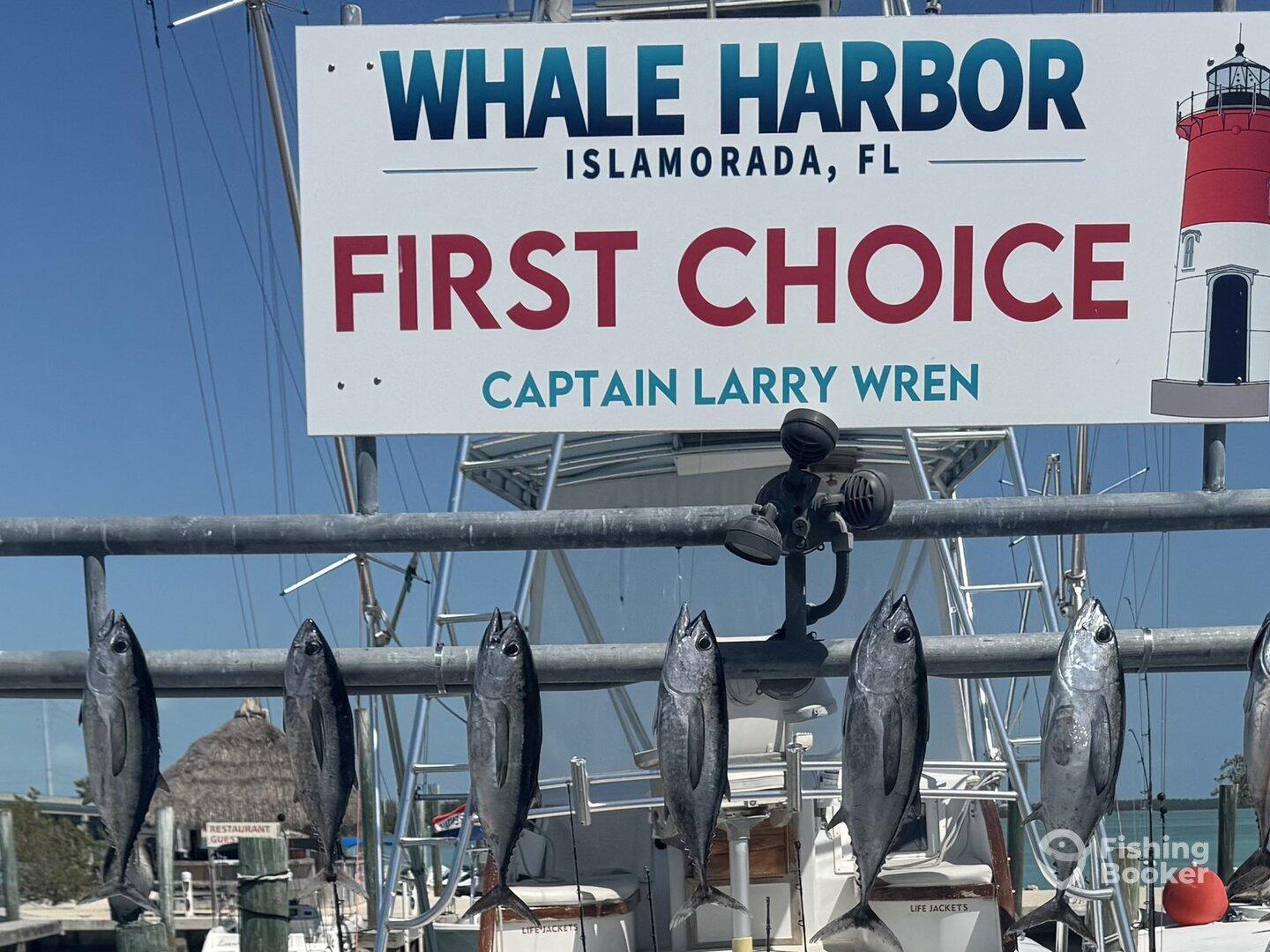 A display of freshly caught fish hanging on a board at Whale Harbor in Islamorada, FL, showcasing a successful fishing trip.