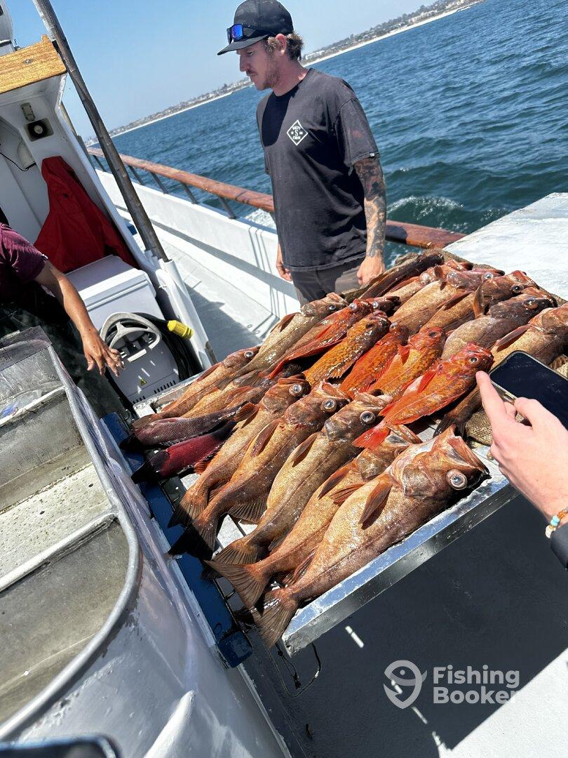 A group of anglers displaying a variety of freshly caught rockfish on a boat after a successful fishing trip.