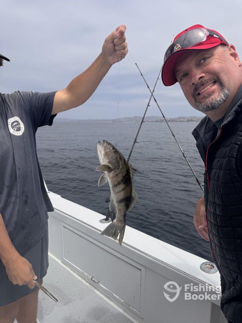 Two anglers celebrating a catch of a striped bass while fishing on a boat, showcasing the excitement of a successful day on the water.