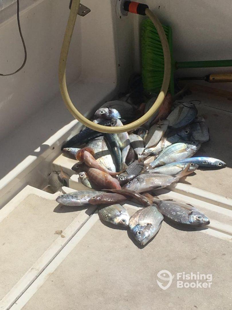 Half day with Antonio