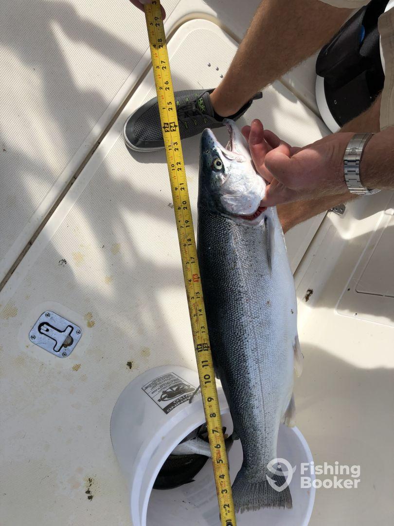 Half day trip with Captain Mat