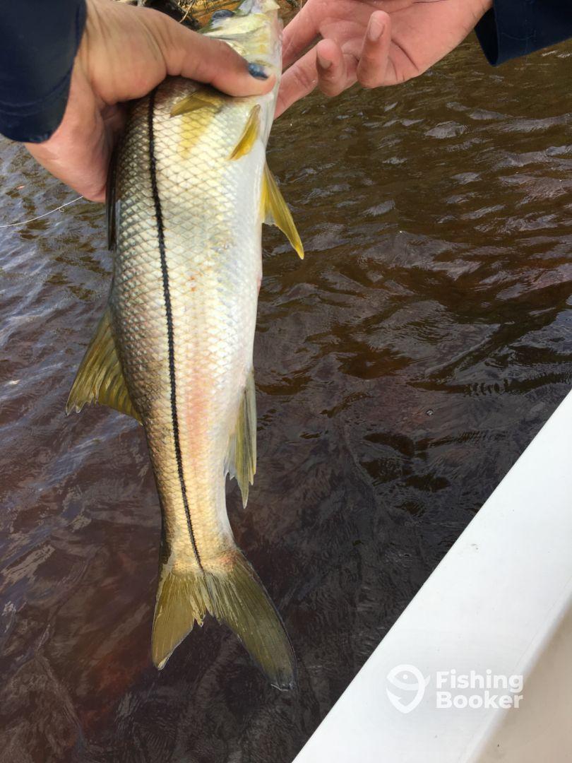 Half day with Captain Andre