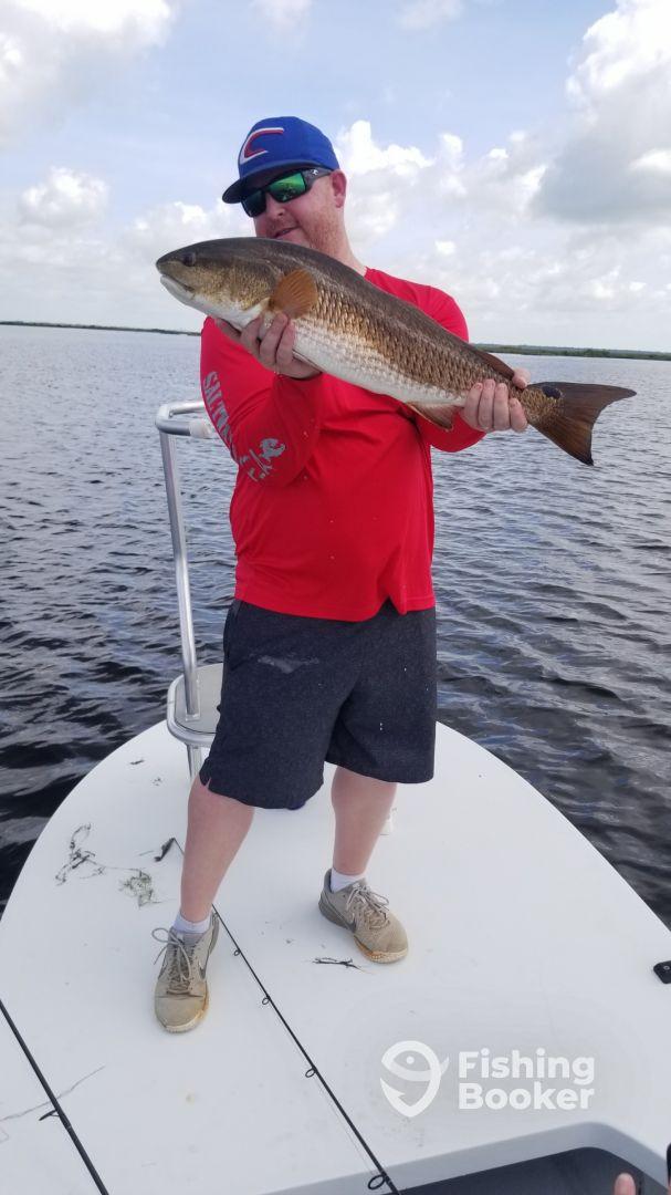 Yes O Yes we will do it Again