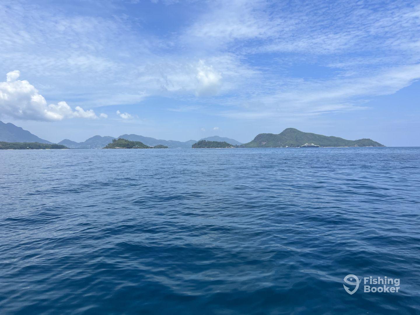 Half day with infinity charter