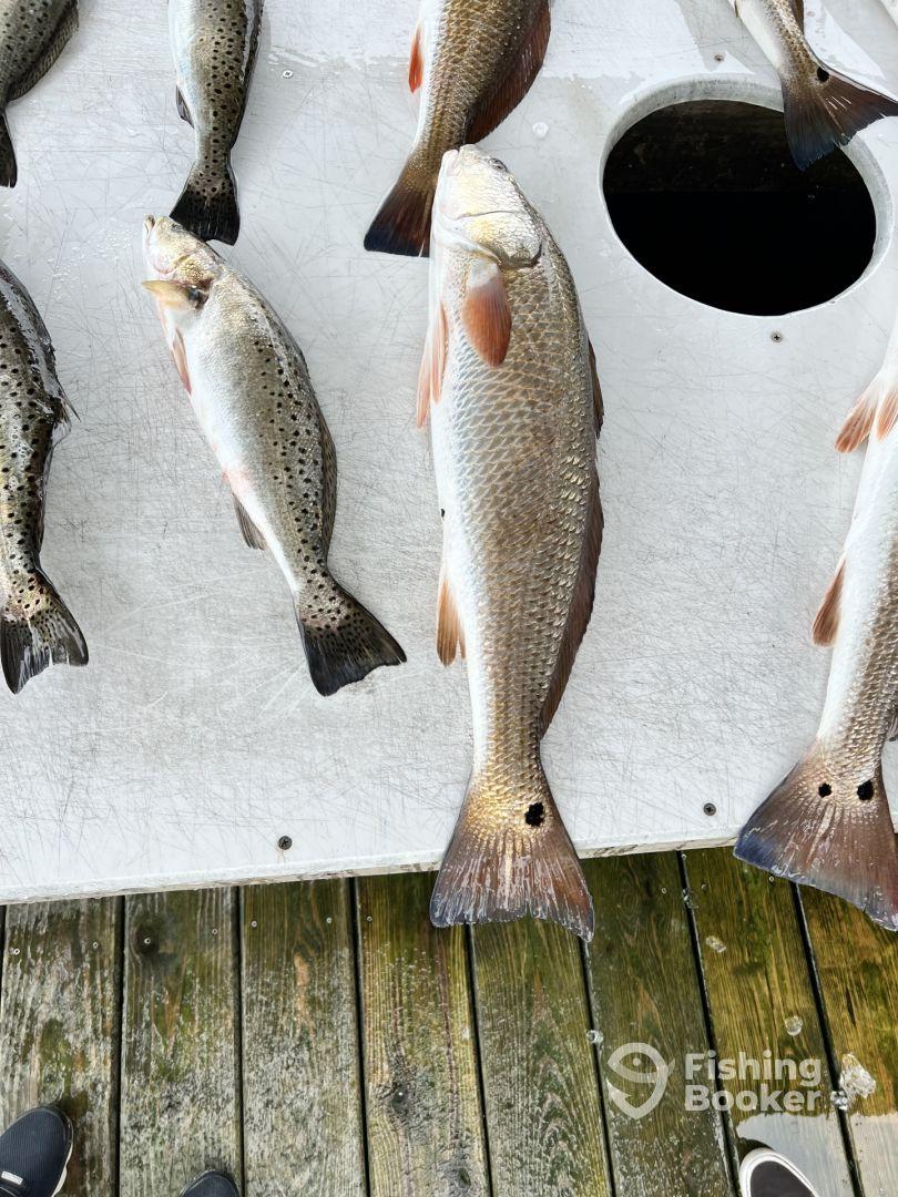 Half day trip with Peter