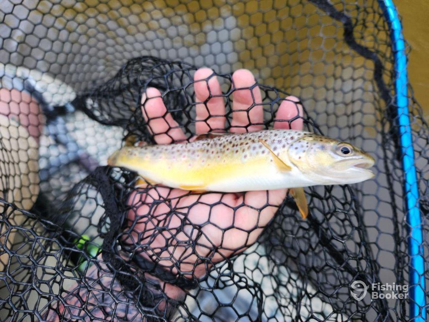 Great Amazing Time!!