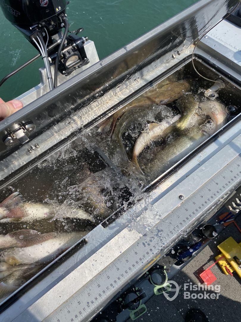 Half day morning trip with Captain Tom