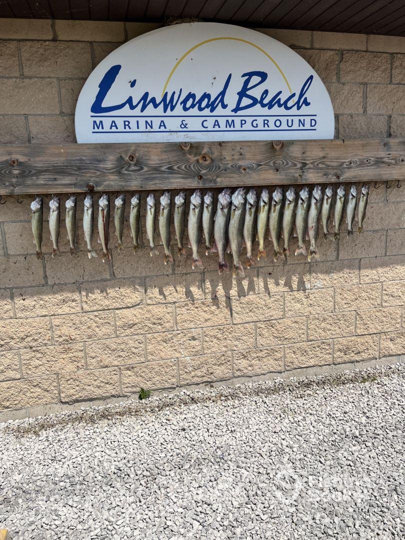 June fishing trip