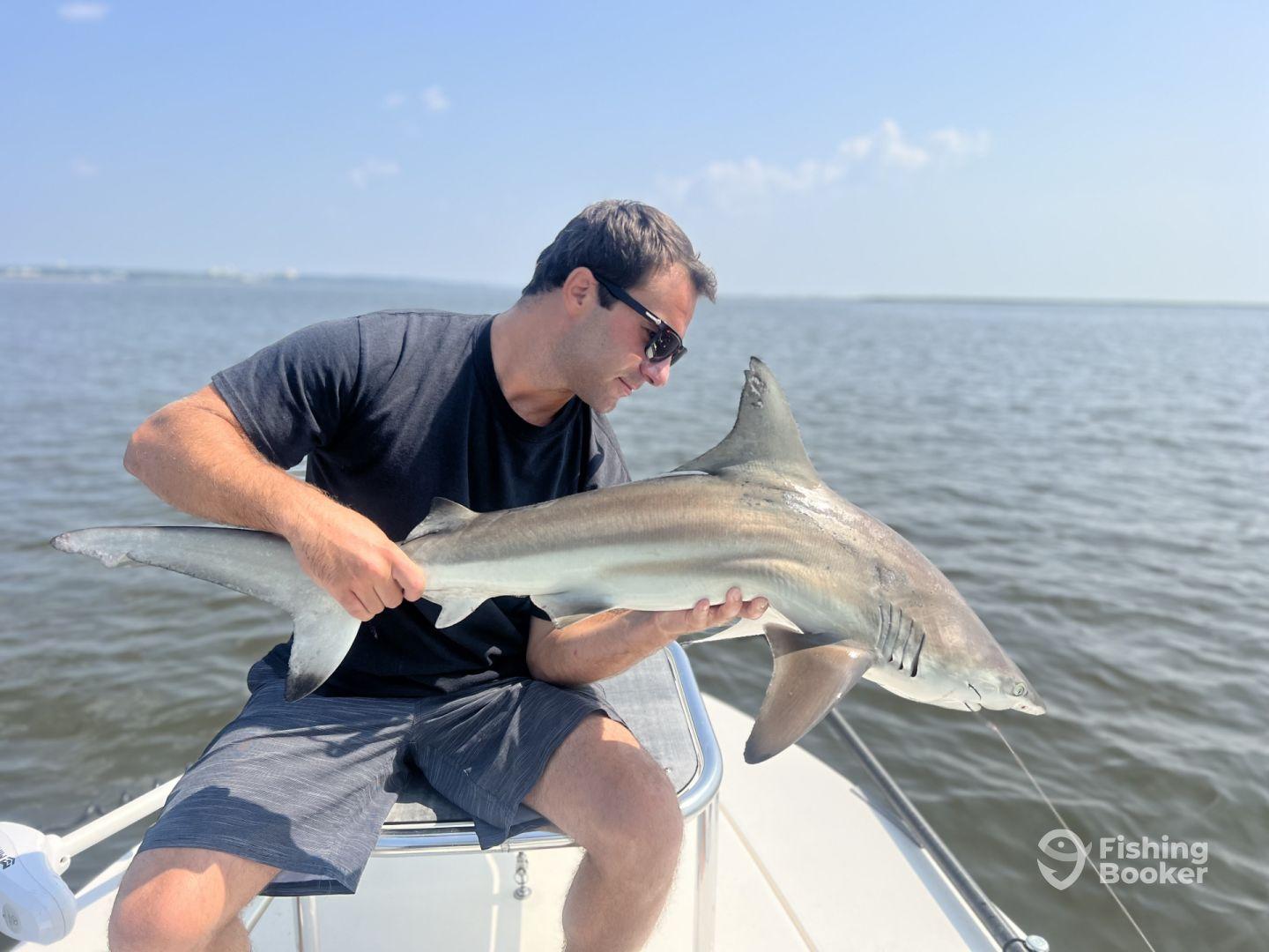 Angler holding a large shark while on a boat, showcasing a successful catch during a fishing trip.