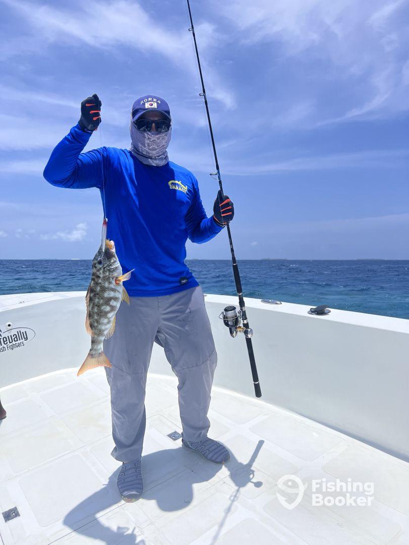 Half Day With Captain Ali