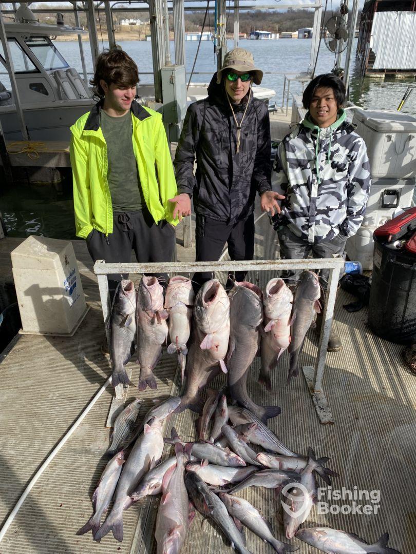 They love to catch fish as much as you