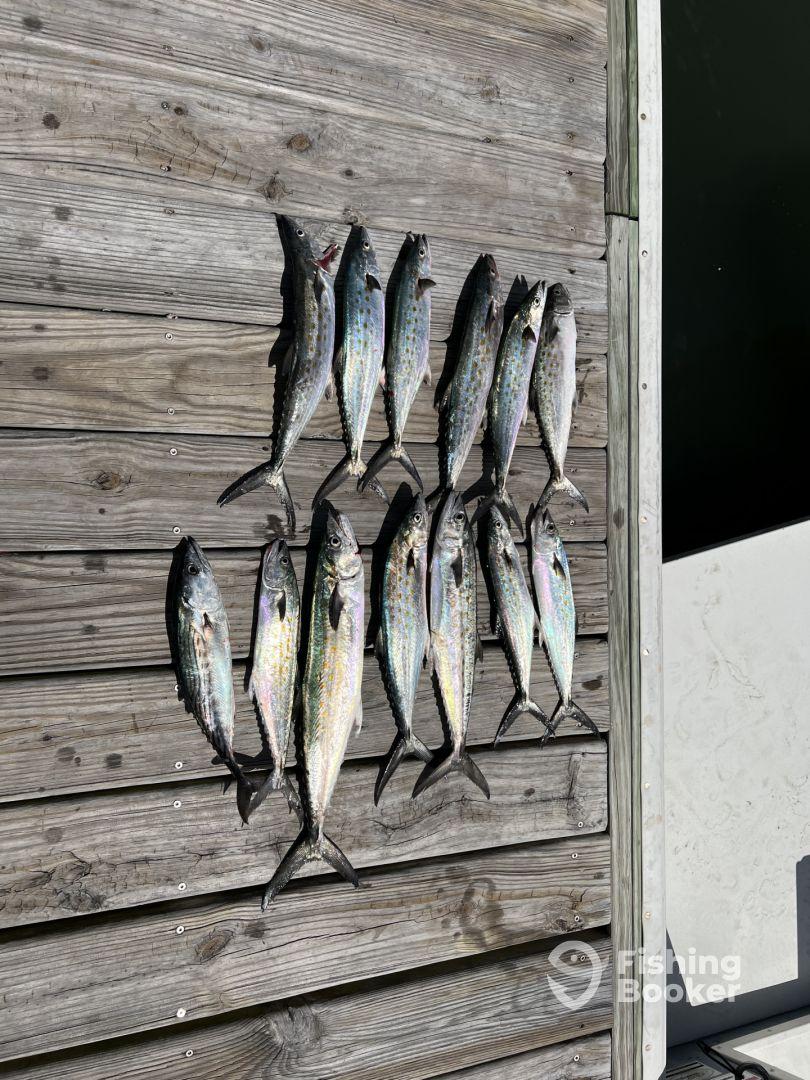 Captain Philip is the best! 